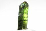 Gemmy, Sharply Terminated Green Elbaite Tourmaline - Brazil #209803-3